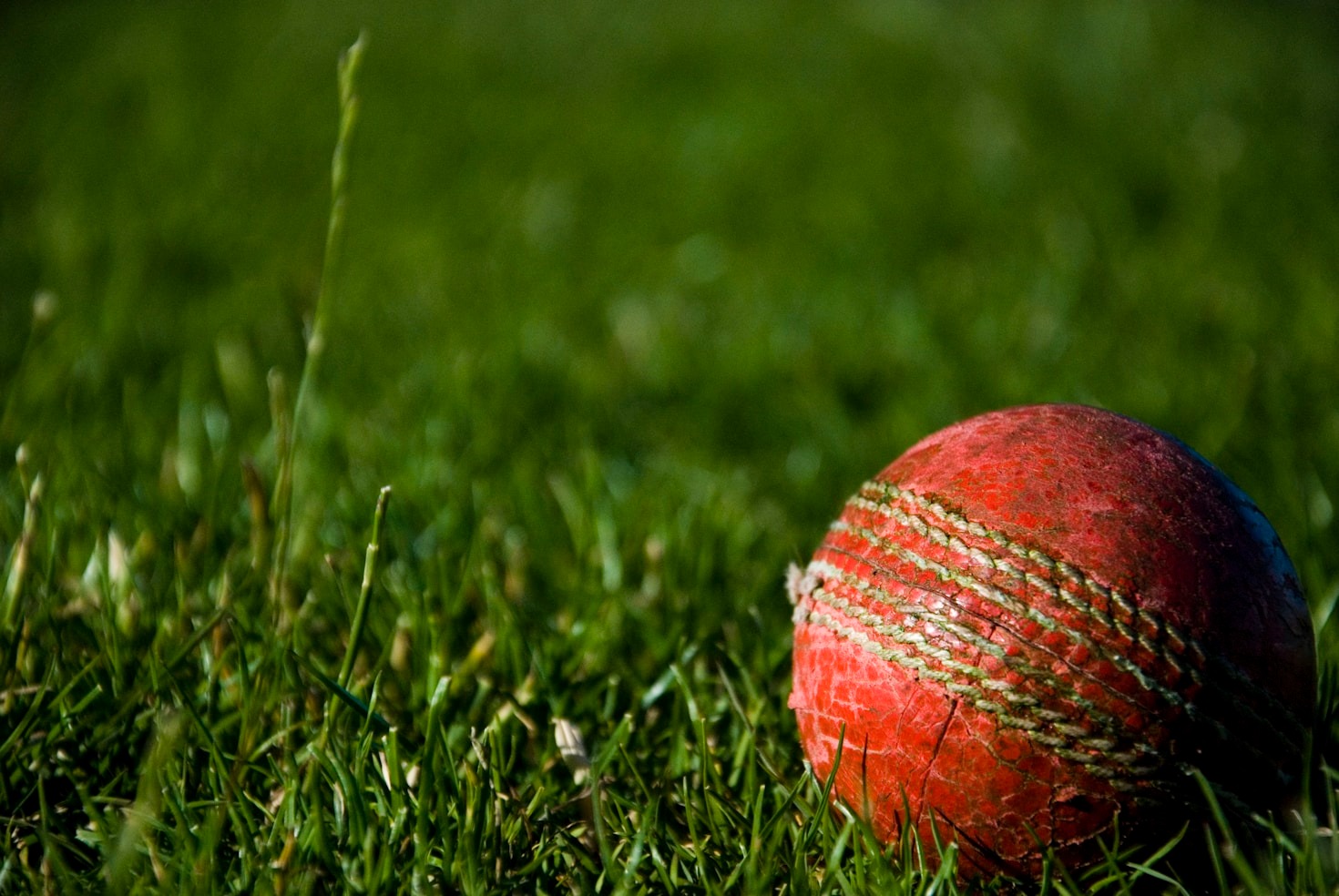 Top Tips for Safe Online Cricket Betting